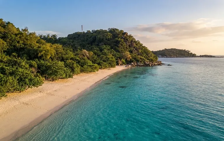 Long white beach curving along a forested shore