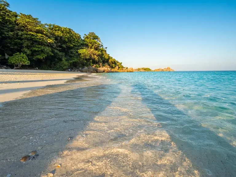 Clear shallow water over sand bars below a forested headland