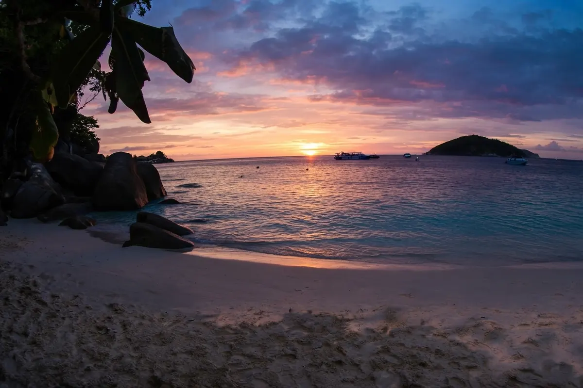 Sun setting over the Andaman Sea from a Similan beach, palm leaves and dark boulders in the foreground