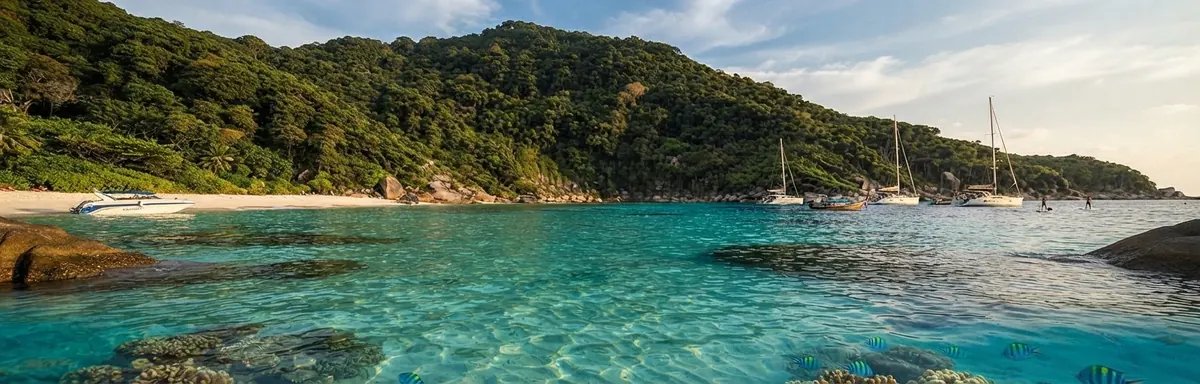 Yachts anchored off a forested island over turquoise water in the Similan Islands